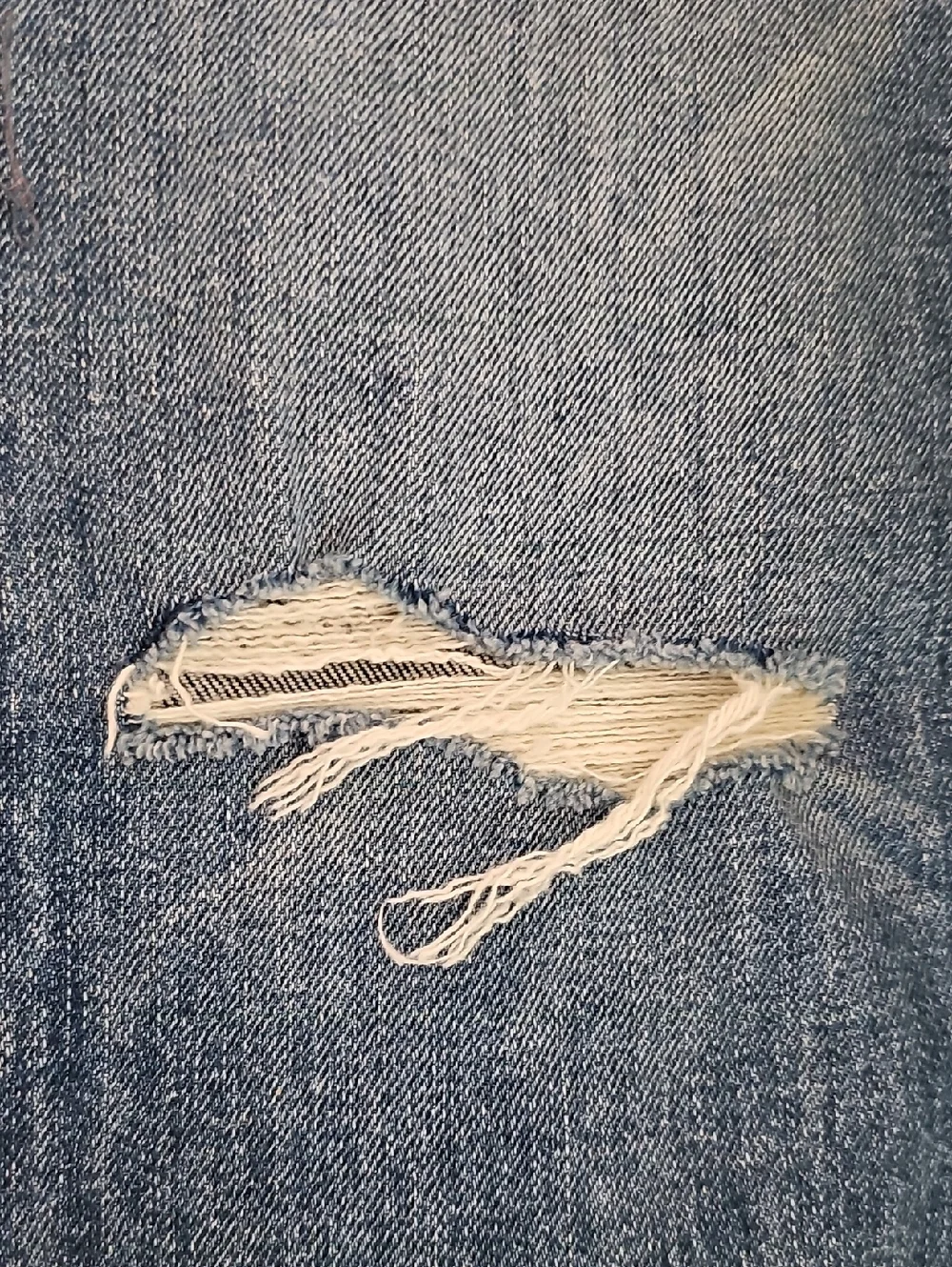 MOTHER The Tomcat‎ High Rise Striaght Leg Playing With Scissors Blue Jeans 26